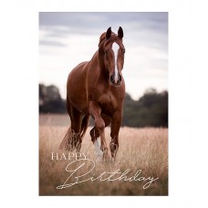 Поздравительная открытка Happy Birthday IV