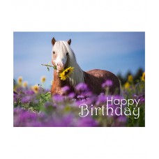 Поздравительная открытка Happy Birthday II