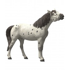  Кнабструппер жеребец