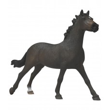 Английская чистокровная кобыла