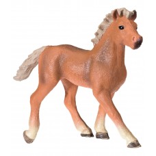 Хафлингер (жеребенок)
