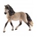 Андалузская лошадь (кобыла)