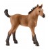 Американская Quarter Horse (жеребенок)