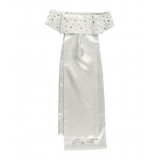 Пластрон Пластрон