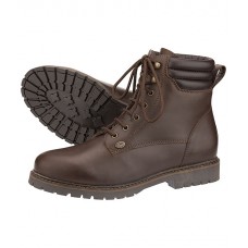 Зимние ботинки Davos